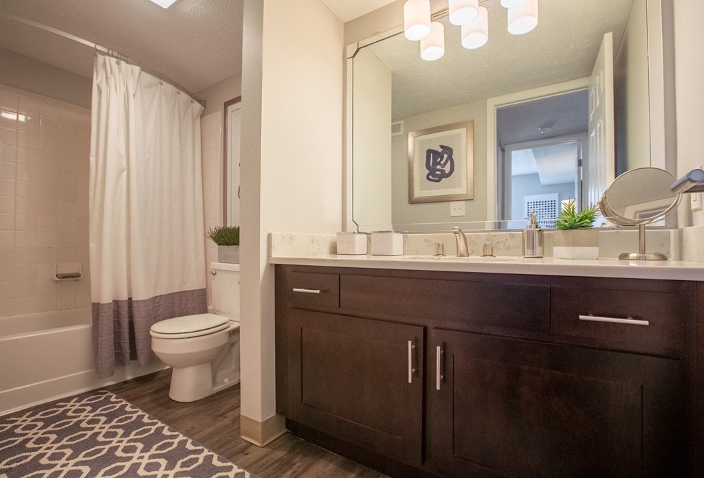 a bathroom with a toilet and a sink and a mirror