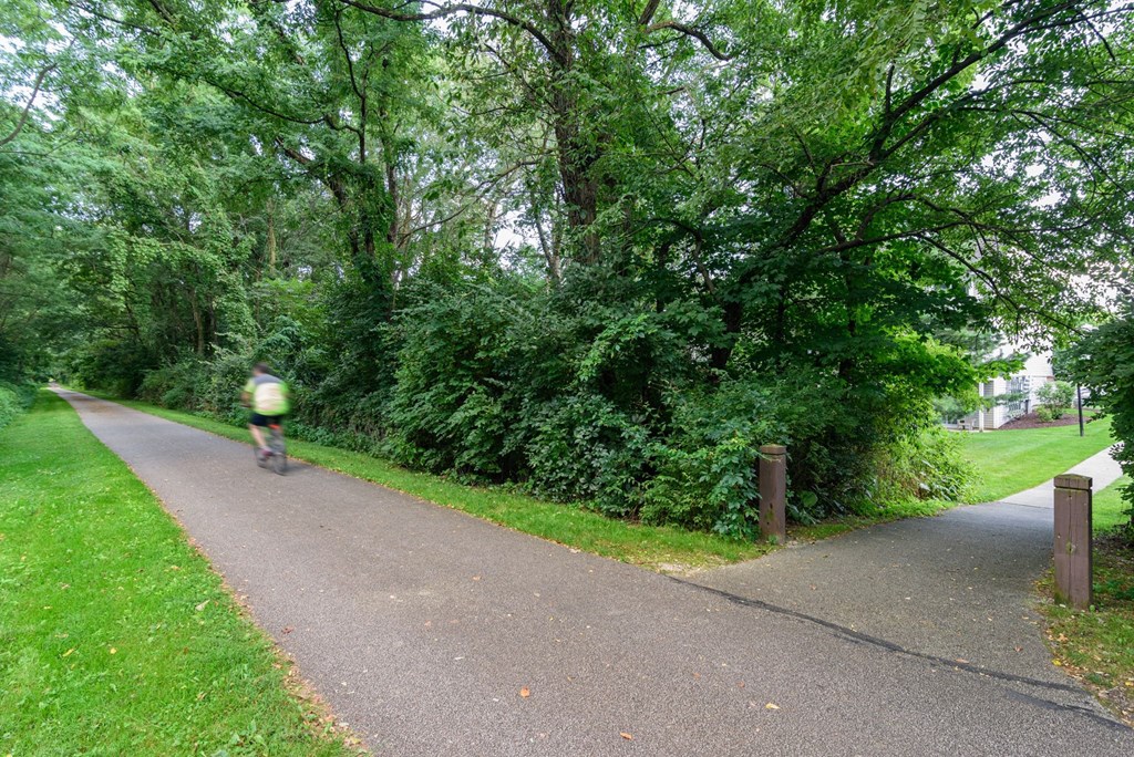 a person riding a bike down a path