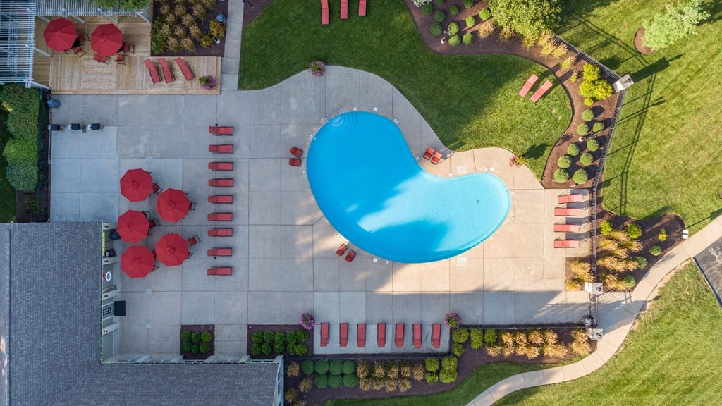 arial view of a swimming pool in a yard with umbrellas