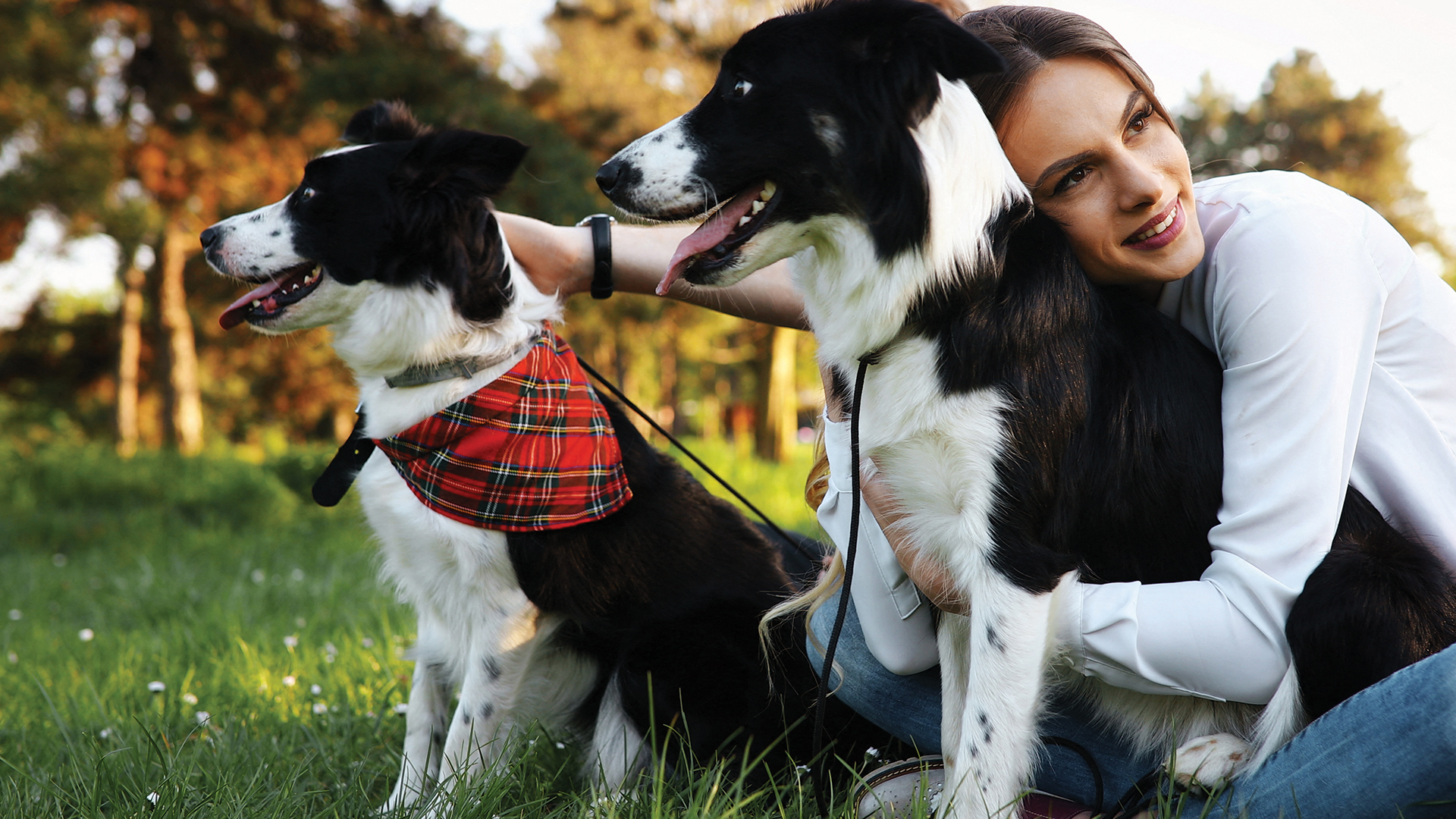 a woman with two dogs sitting in the grass