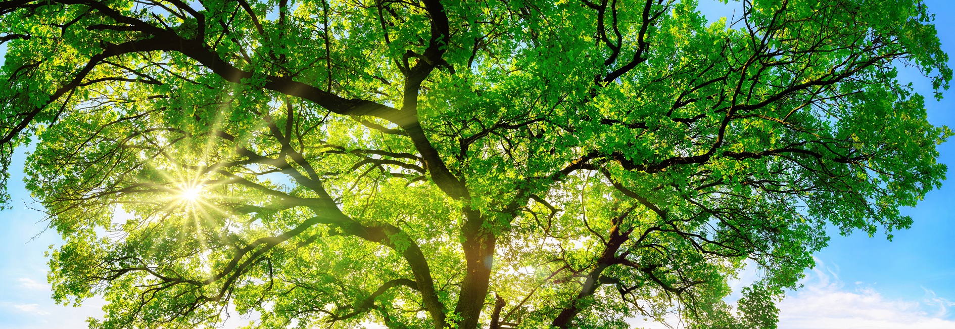 The Life At West Cobb Apartments In Marietta Ga