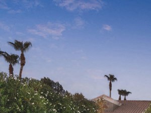 Studio Apartments For Rent In Gilbert Az From 743 Rentcafe