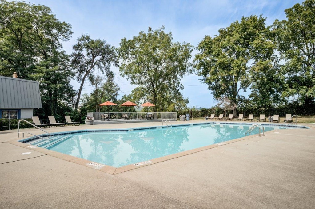 A large outdoor swimming pool surrounded by trees and lounge chairs.