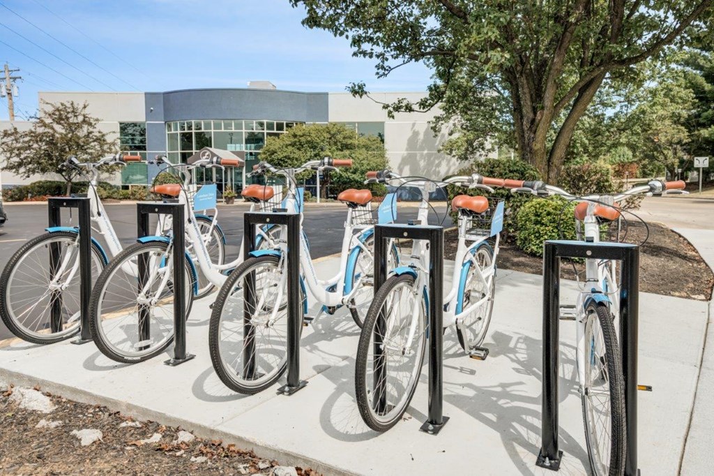 A row of bicycles are parked at a bike rack.
