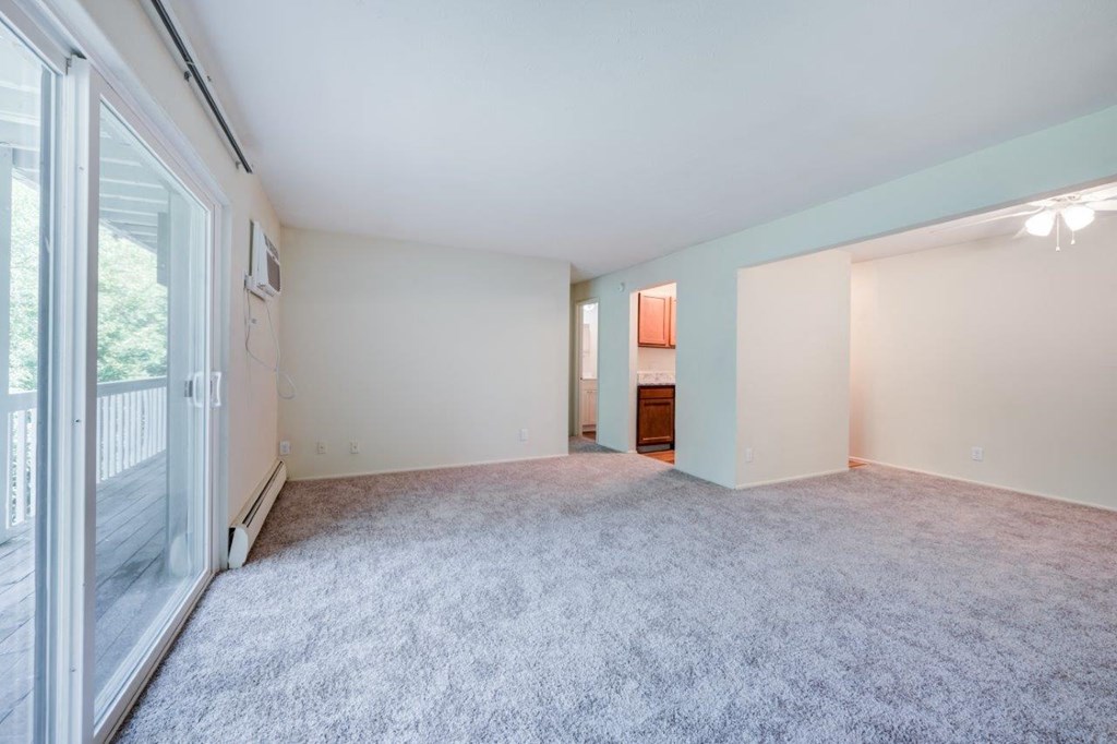 A room with a grey carpet and white walls.