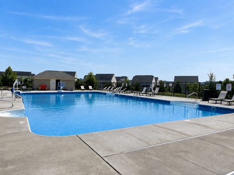 A large swimming pool with a blue tinted water and a concrete floor.