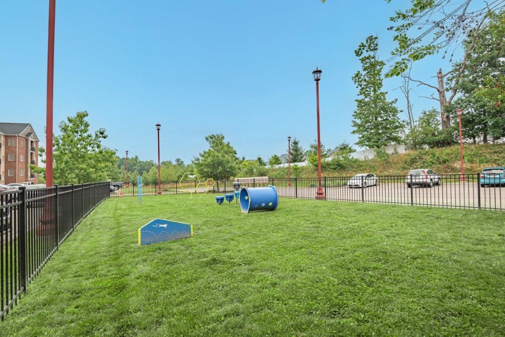 a dog park with agility courses and a fence