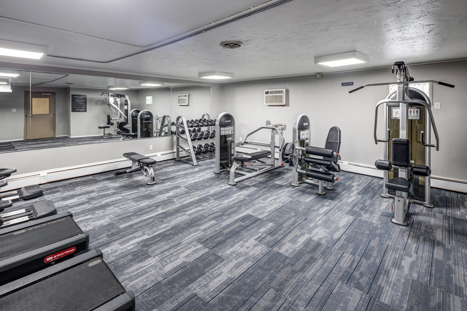 A gym with a variety of equipment including a treadmill, weights, and a bench press.