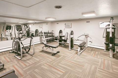 a gym with weights and cardio equipment in a building