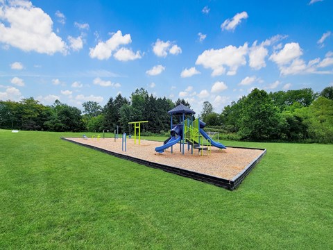 a playground with a blue playset on a grass field