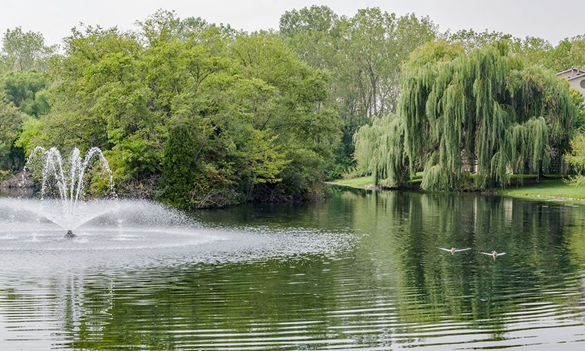The Lakes At 8201 Apartment Homes