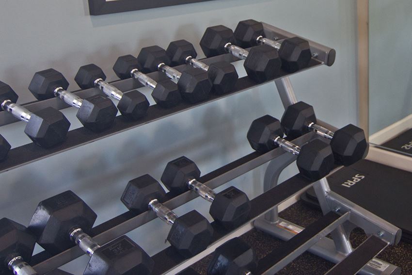 The Lakes At 8201 Apartment Homes