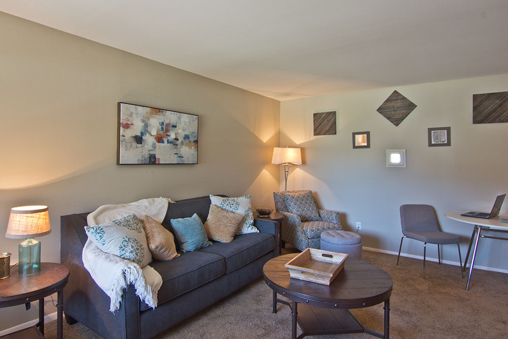 Livingroom with Carpet