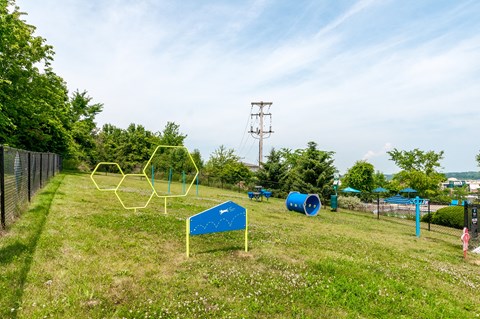 a playground with soccer goals and nets in a park