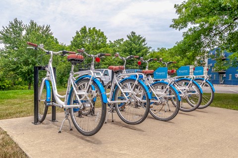 a row of blue bikes parked next to each other