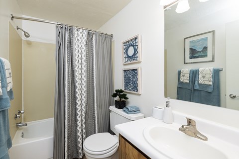 a bathroom with a shower and a toilet and a sink