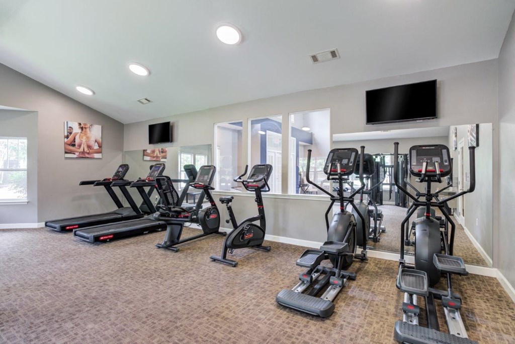 the gym in our apartments has cardio equipment and a flat screen tv