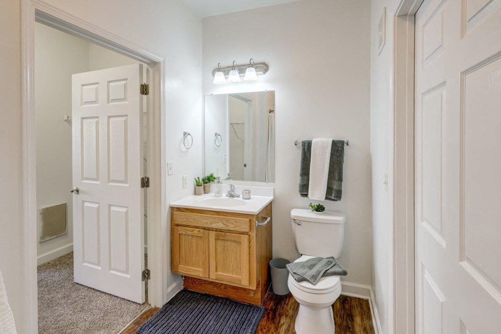 a bathroom with a toilet and a sink and a mirror