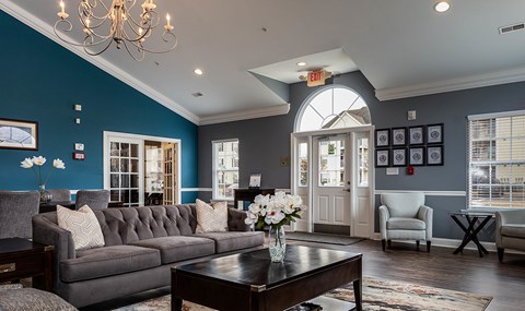 a living room with blue walls and a gray couch