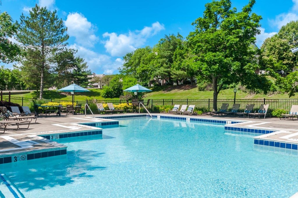 a swimming pool with chairs and umbrellas in a yard with trees