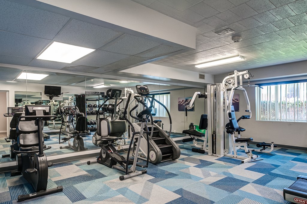 a gym with weights and cardio equipment in a building