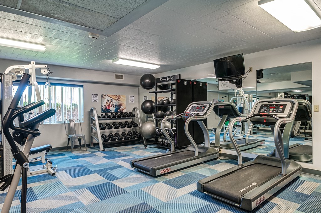 a gym with cardio machines and weights in a room with a window