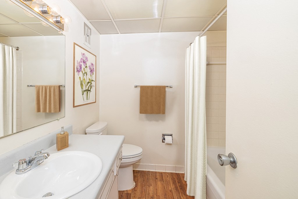 a bathroom with a sink and a toilet and a shower