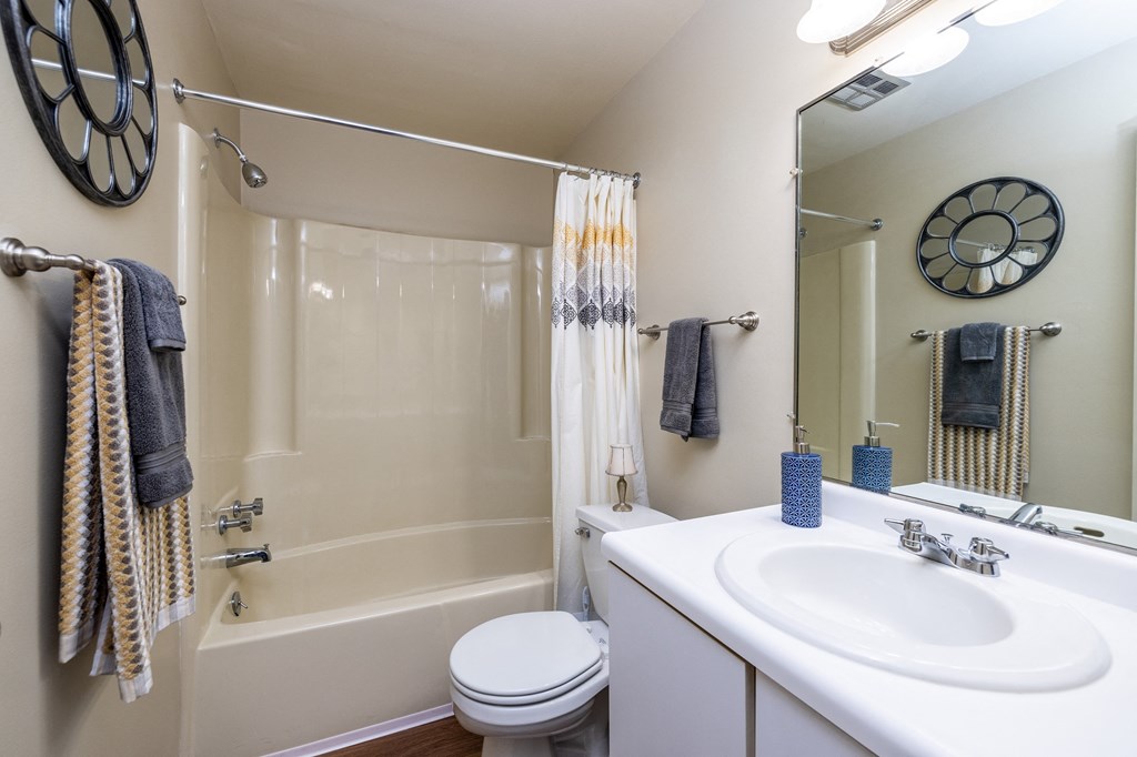 a bathroom with a shower sink and toilet and a mirror