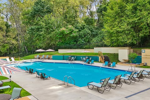 A large swimming pool surrounded by trees and lounge chairs.
