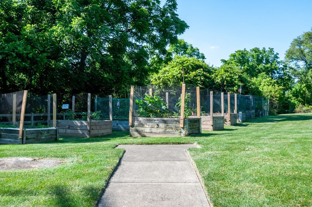 a sidewalk in a park with trees and a fence