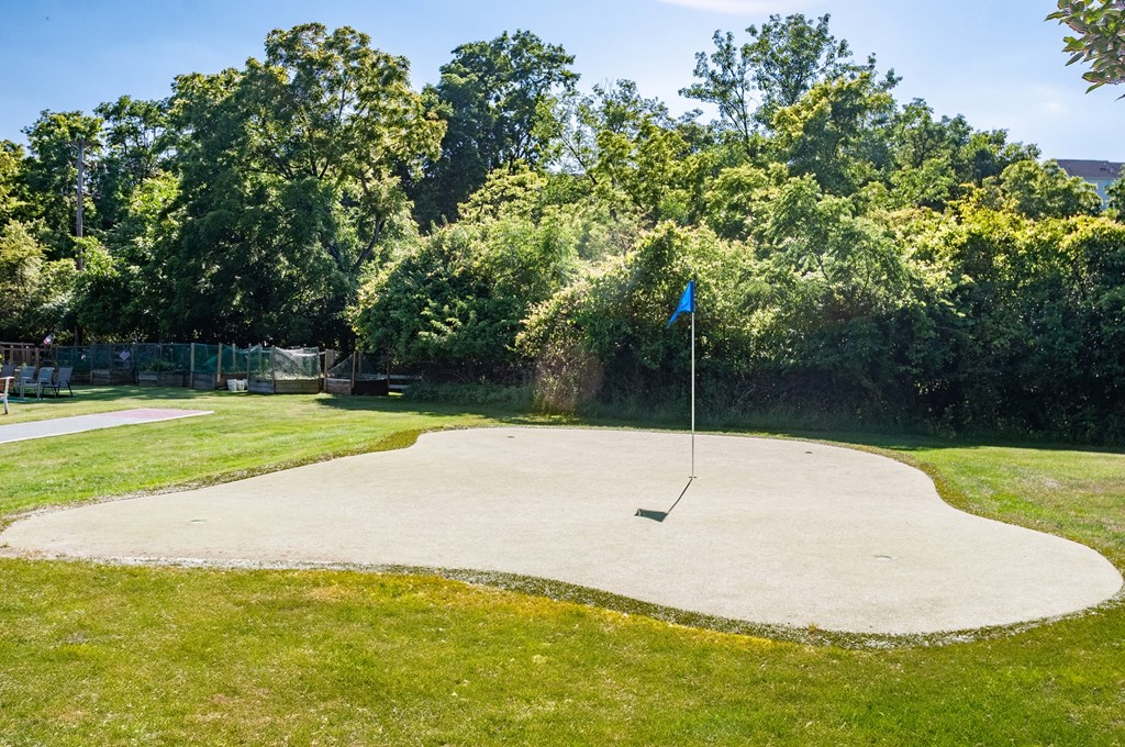 a putting green with a blue flag on it in a park