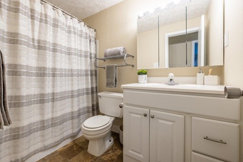 A bathroom with a toilet, sink, and shower curtain.