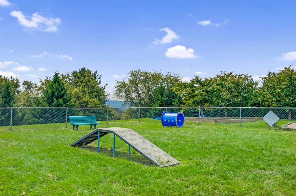 a playground with a ramp and a bench in the grass