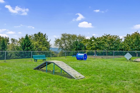 a playground with a ramp and a bench in the grass