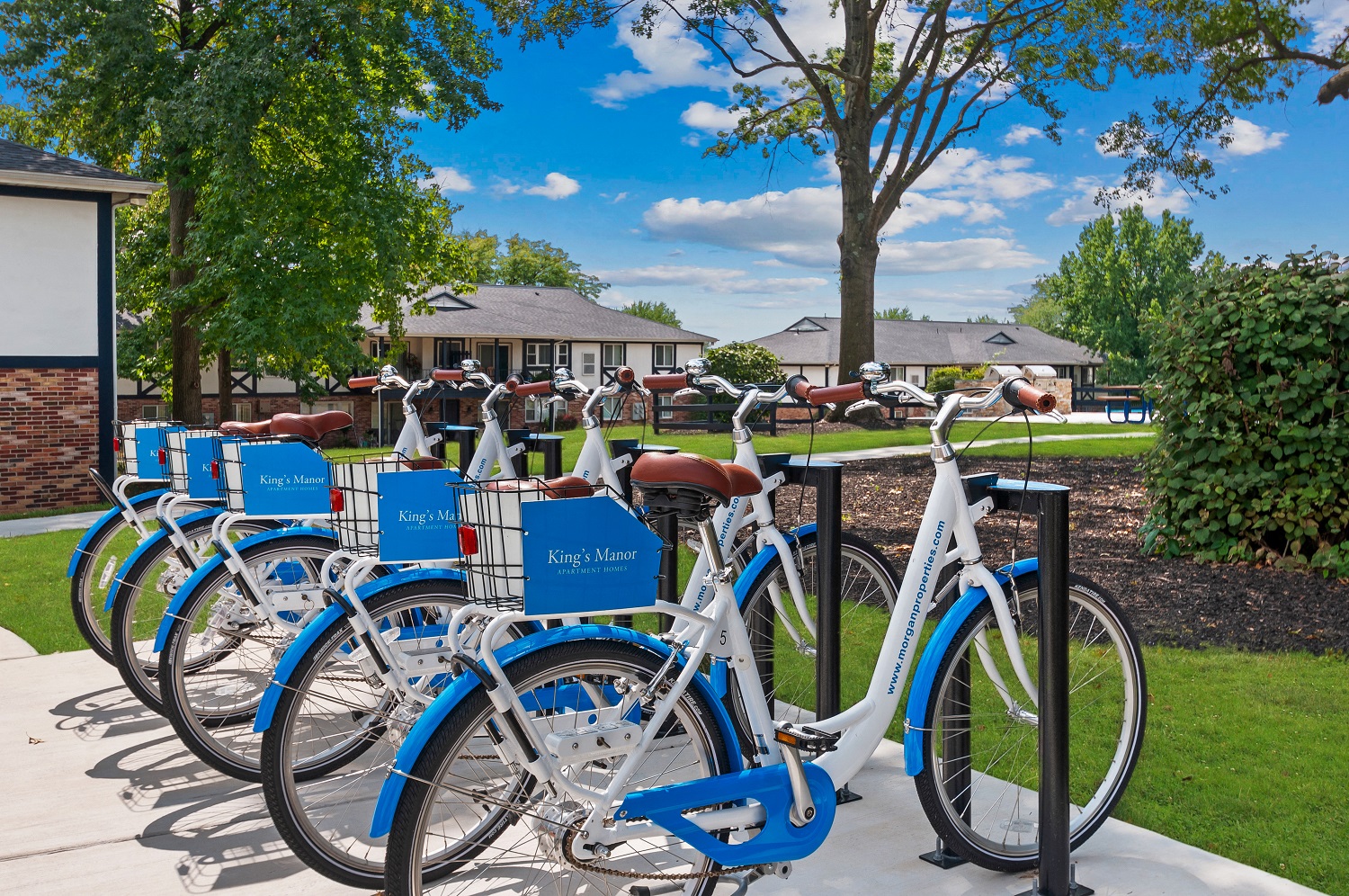 a row of blue bikes parked on a sidewalk