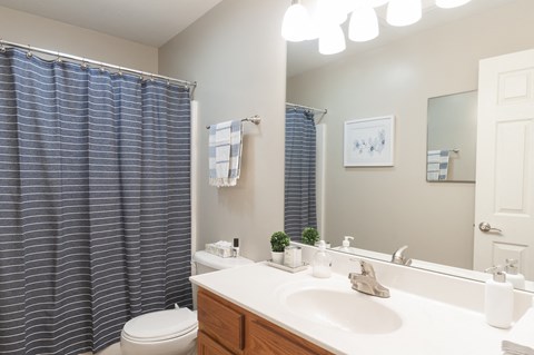 a bathroom with a large mirror and a sink and a toilet