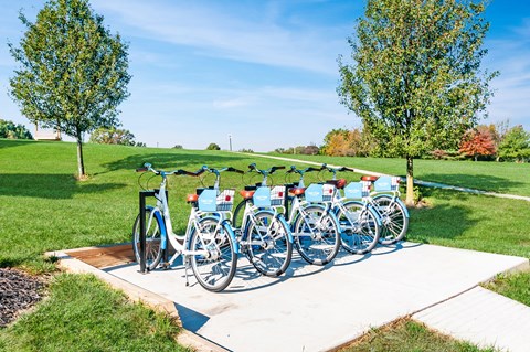 a row of bikes parked at a bike rack in a park