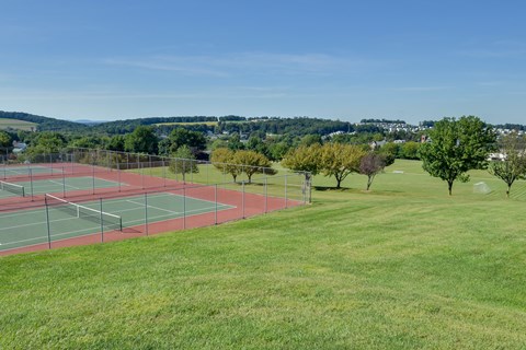 two tennis courts in the middle of a field with trees in the background