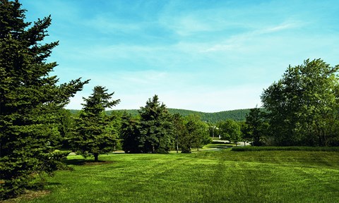 a grassy field with trees and mountains in the background
