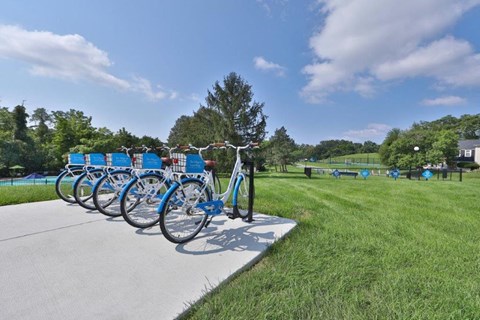a row of bikes with blue seats parked on a sidewalk