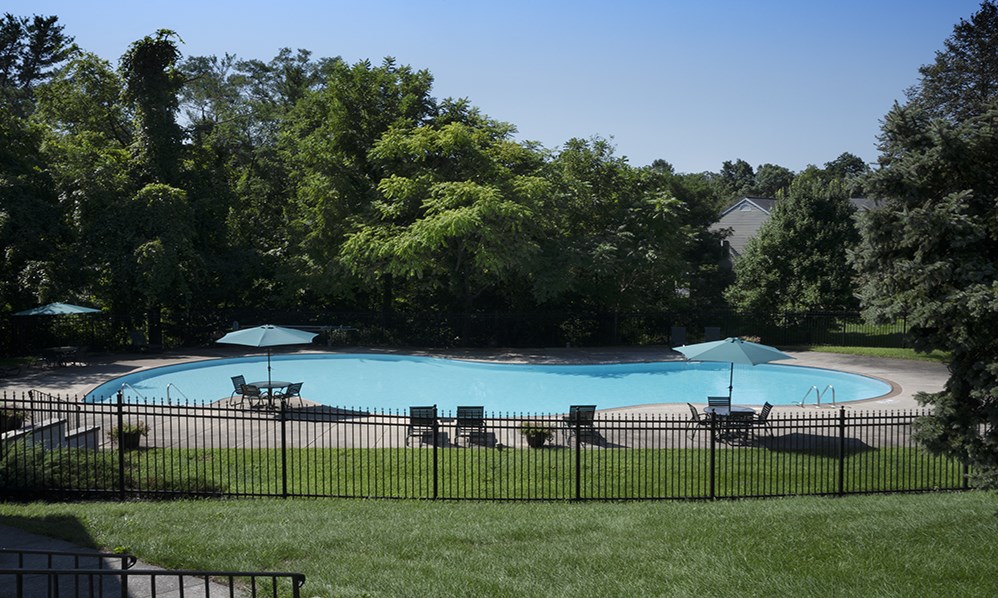a swimming pool with chairs and umbrellas in a yard