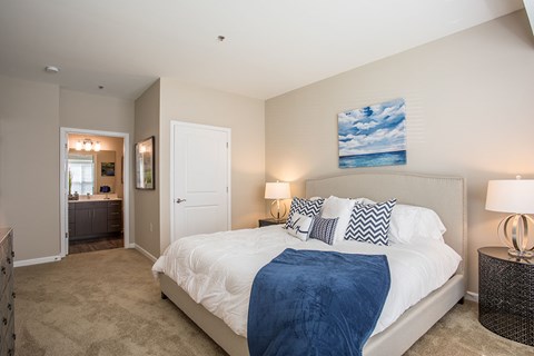 a bedroom with a bed and a closet