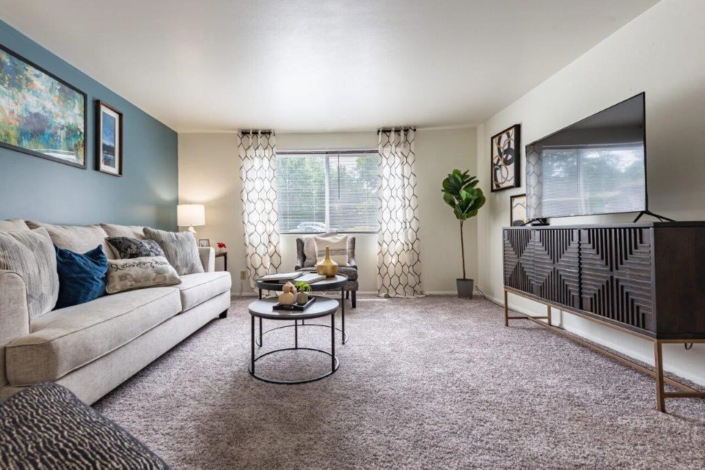 a living room with a couch and a television