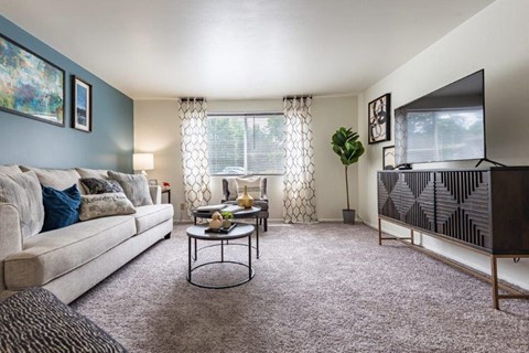 a living room with a couch and a television