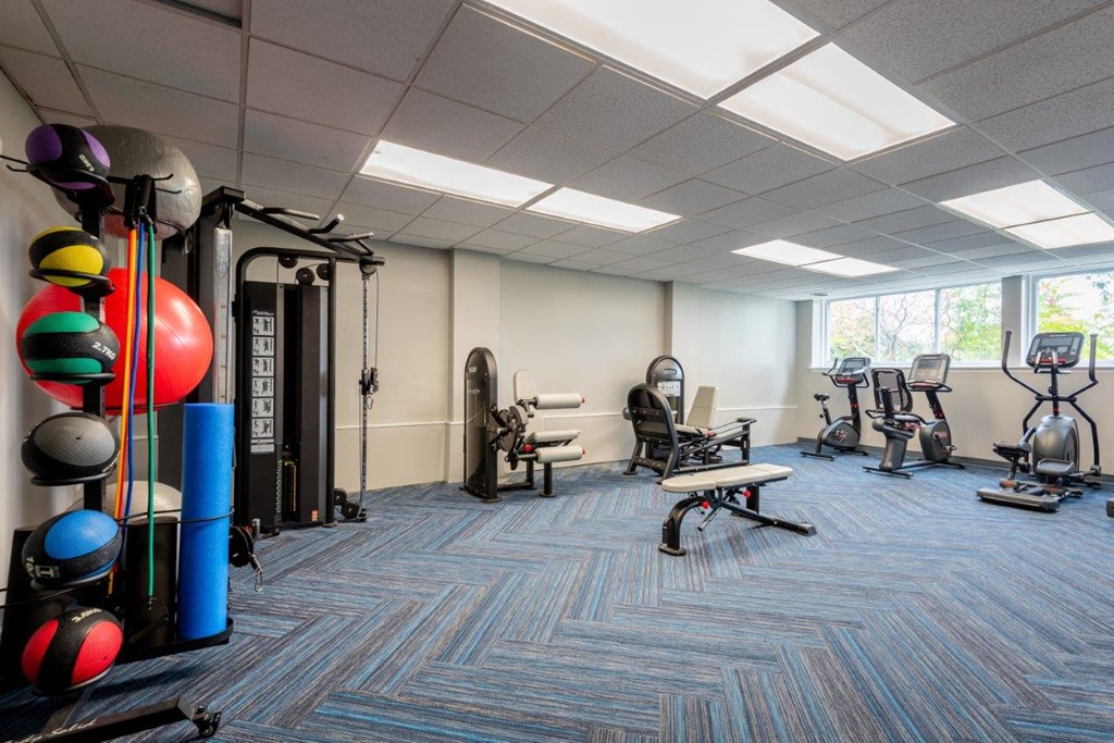 a gym with weights and cardio equipment in a room with windows