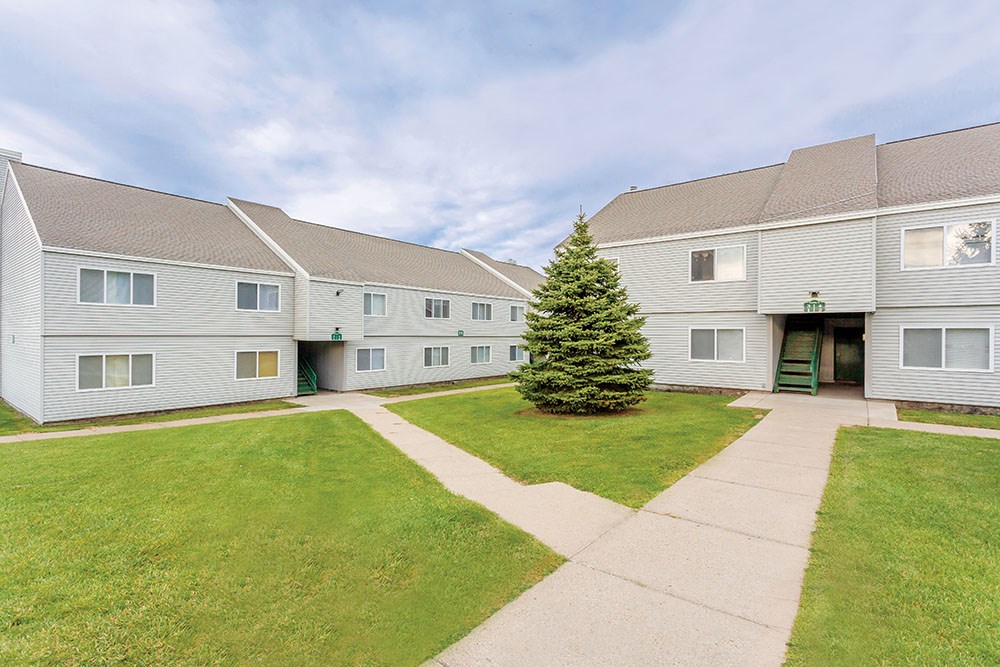 a group of white houses with a yard and a tree