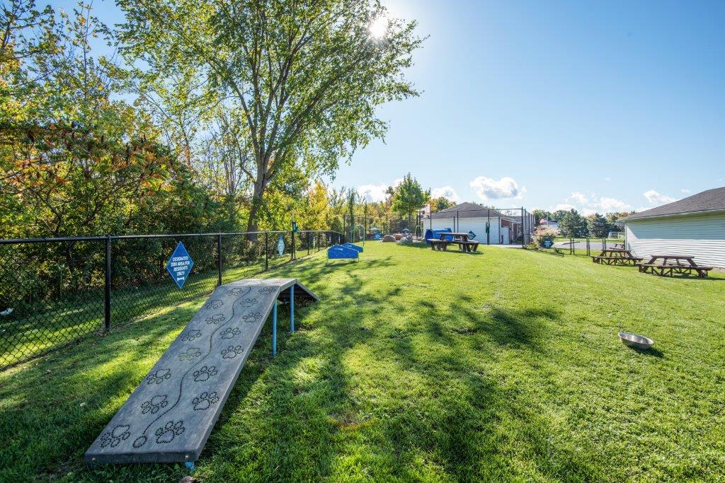 a park with a bench and a chain link fence