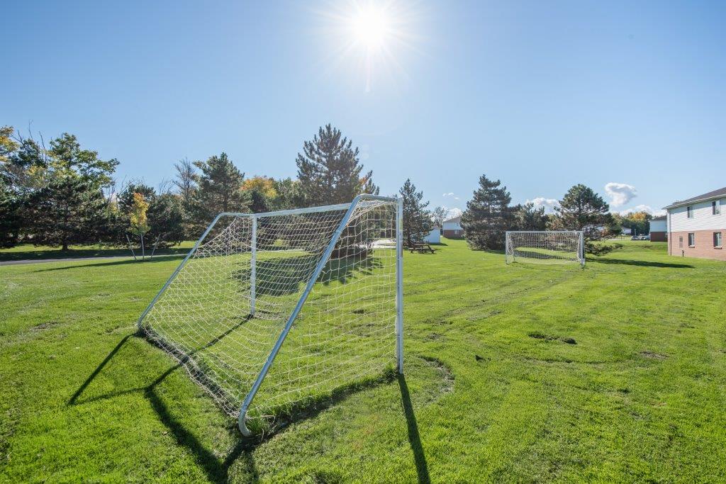 a soccer goal on a field with the sun in the sky