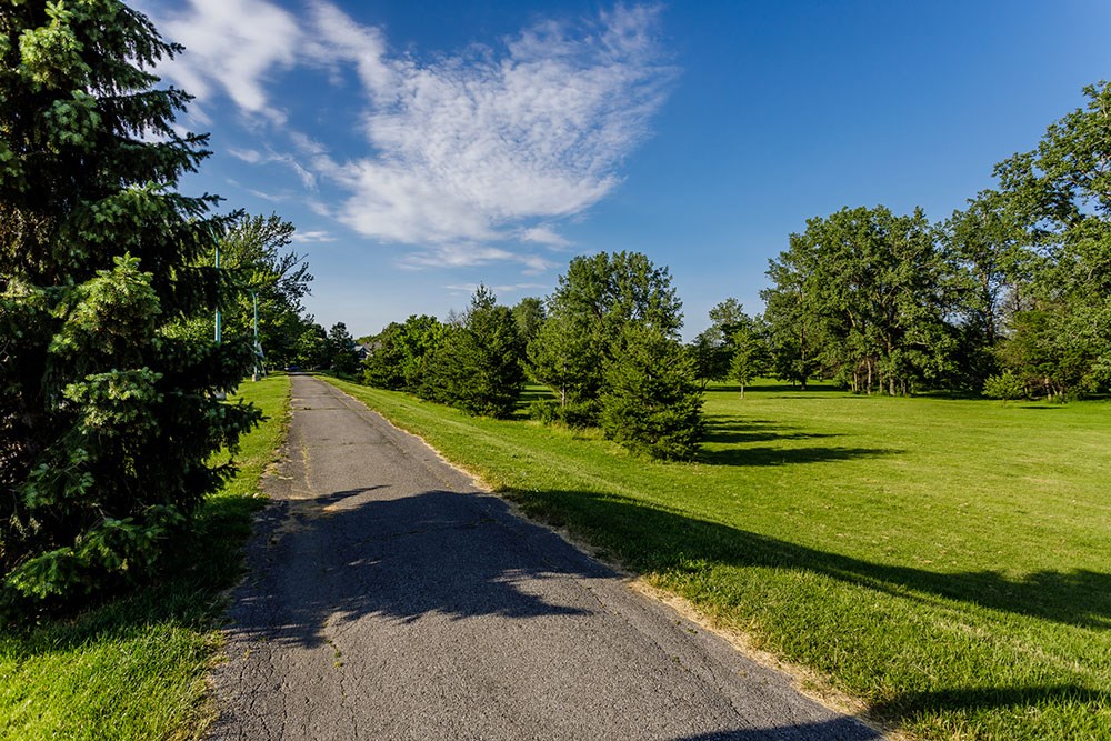 a country road with trees and grass on either side and a blue sky