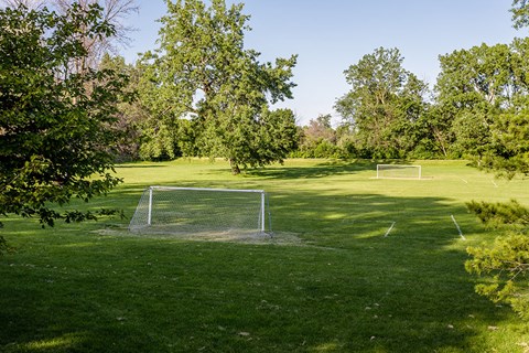 a soccer goal on a field in a park